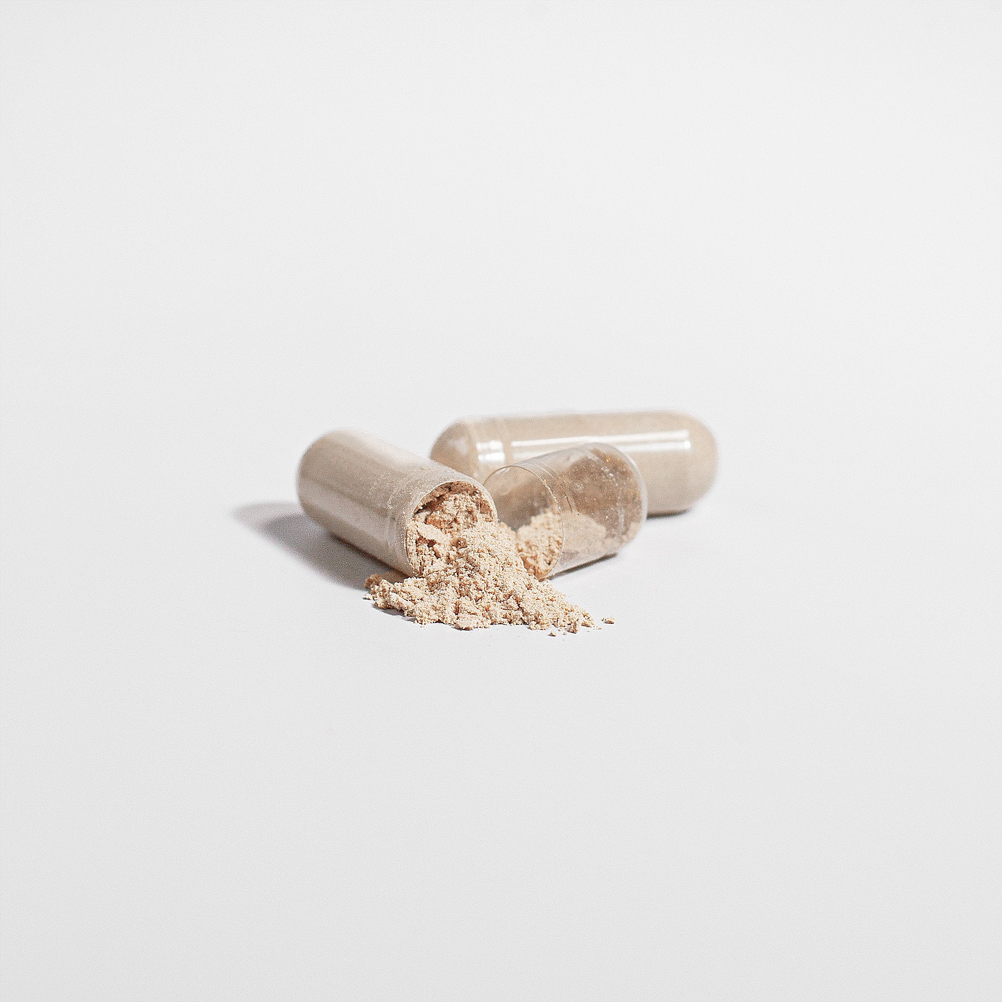 Focus Support (Lion's Mane)