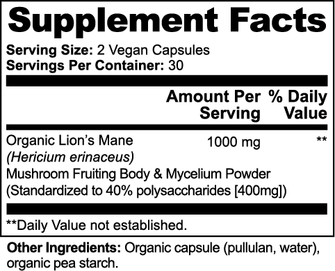 Focus Support (Lion's Mane)